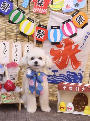 20240716ポコちゃん